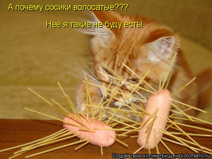 А почему сосики волосатые??? Нее я такие не буду есть!... Котоматрица: А почему сосики волосатые??? Нее я такие не буду есть!