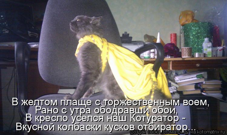 В желтом плаще с торжественным воем, Рано с утра ободравши обои, В кресло уселся наш Котуратор - Вку... Котоматрица: В желтом плаще с торжественным воем, Рано с утра ободравши обои, В кресло уселся наш Котуратор - Вкусной колбаски кусков отбиратор...
