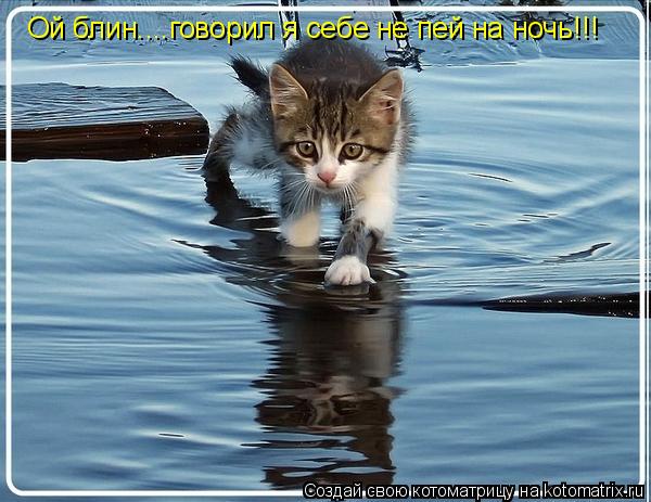 Ой блин....говорил я себе не пей на ночь!!!... Котоматрица: Ой блин....говорил я себе не пей на ночь!!!