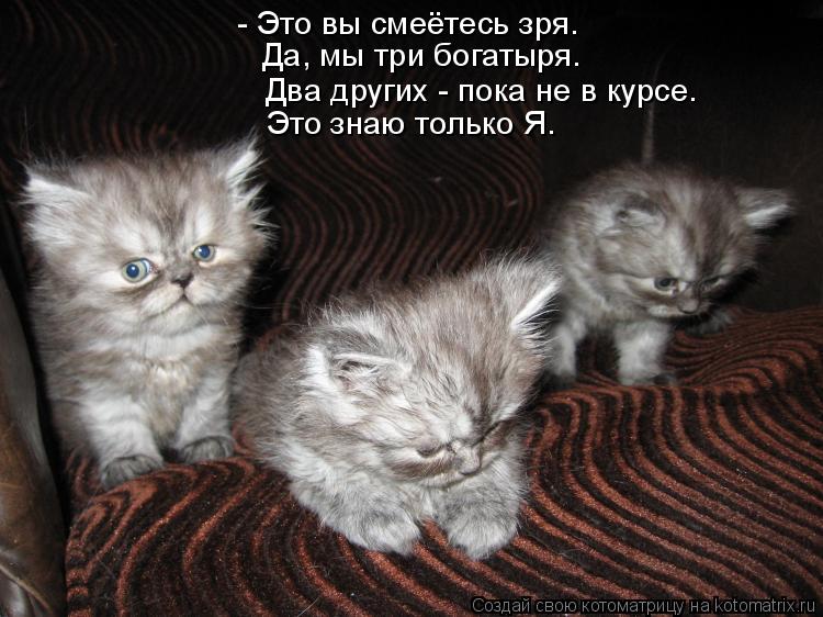 - Это вы смеётесь зря. Да, мы три богатыря. Два других - пока не в курсе. Это знаю только Я.... Котоматрица: - Это вы смеётесь зря. Да, мы три богатыря. Два других - пока не в курсе. Это знаю только Я.