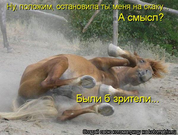 Ну, положим, остановила ты меня на скаку... А смысл? Были б зрители...... Котоматрица: Ну, положим, остановила ты меня на скаку... А смысл? Были б зрители...