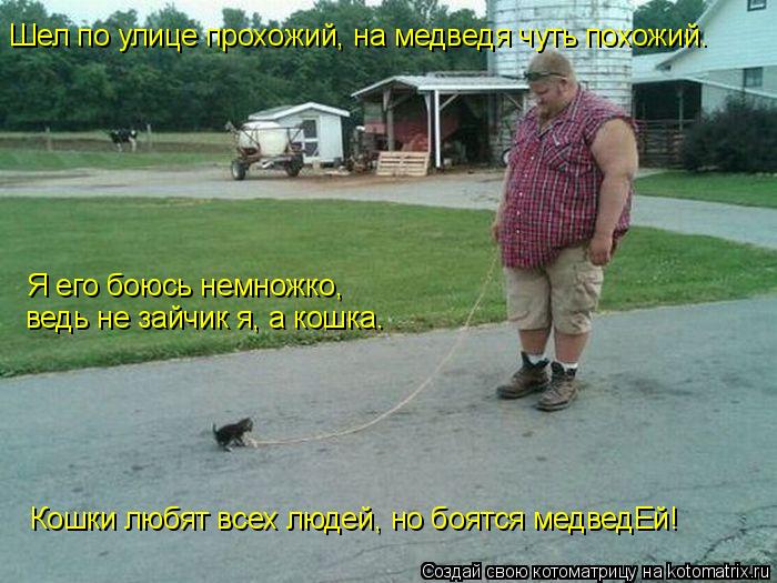 Котоматрица: Шел по улице прохожий, на медведя чуть похожий. Я его боюсь немножко,  ведь не зайчик я, а кошка. Кошки любят всех людей, но боятся медведЕй!
