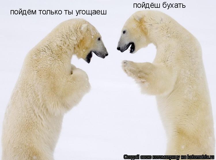 пойдёш бухать пойдём пойдём только ты угощаеш... Котоматрица: пойдёш бухать пойдём пойдём только ты угощаеш