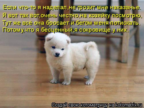 Котоматрица: Если что-то я наделал,не грозит мне наказанье. Я вот так вот,очень честно,на хозяйку посмотрю, Тут же всё она бросает и бегом меня потискать. 