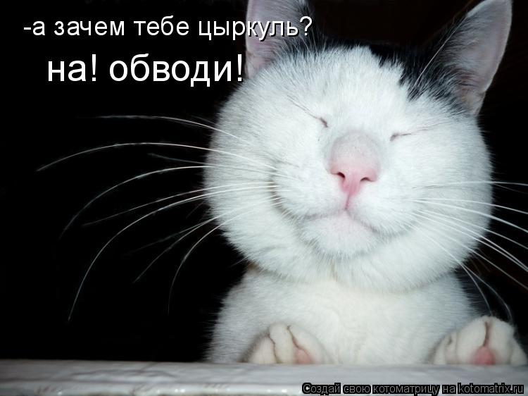 -а зачем тебе цыркуль? на! обводи!... Котоматрица: -а зачем тебе цыркуль? на! обводи!
