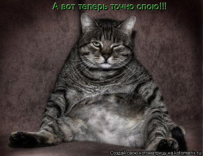 А вот теперь точно спою!!! А вот теперь точно спою!!!... Котоматрица: А вот теперь точно спою!!! А вот теперь точно спою!!!
