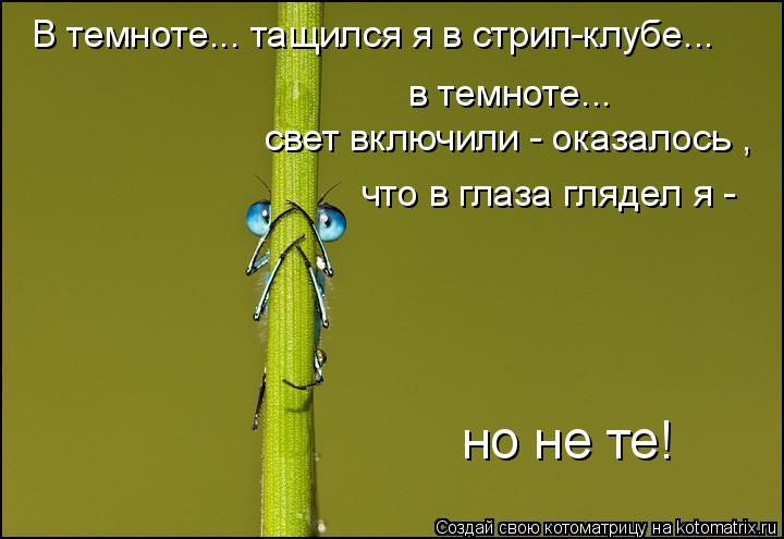 В темноте... тащился я в стрип-клубе... в темноте... свет включили - оказалось , что в глаза глядел ... Котоматрица: В темноте... тащился я в стрип-клубе... в темноте... свет включили - оказалось , что в глаза глядел я - но не те!