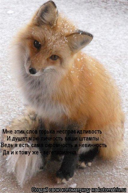 Котоматрица: И душат мою личность ваши штампы Ведь я есть сама скромность и невинность Да и к тому же - вегетарианка... Мне этих слов горька несправидливо