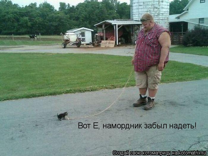 Вот Е, намордник забыл надеть!... Котоматрица: Вот Е, намордник забыл надеть!