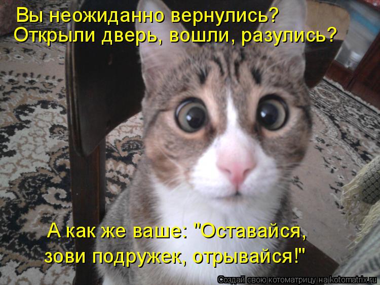 Вы неожиданно вернулись? Открыли дверь, вошли, разулись? А как же ваше: "Оставайся, зови подружек, ... Котоматрица: Вы неожиданно вернулись? Открыли дверь, вошли, разулись? А как же ваше: "Оставайся, зови подружек, отрывайся!"