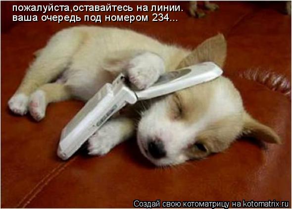 пожалуйста,оставайтесь на линии. ваша очередь под номером 234...... Котоматрица: пожалуйста,оставайтесь на линии. ваша очередь под номером 234...