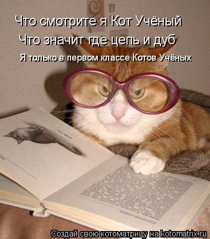 Что смотрите я Кот Учёный Что значит где цепь и дуб Я только в первом классе Котов Учёных... Котоматрица: Что смотрите я Кот Учёный Что значит где цепь и дуб Я только в первом классе Котов Учёных