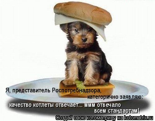 качество котлеты отвечает... ммм отвечало всем стандартам! Я, представитель Роспотребнадзора, кате... Котоматрица: качество котлеты отвечает... ммм отвечало всем стандартам! Я, представитель Роспотребнадзора, категорично заявляю: