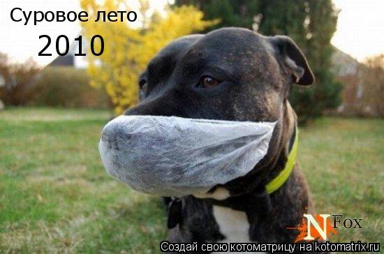 Суровое лето 2010... Котоматрица: Суровое лето 2010