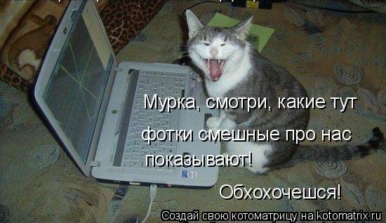 Мурка, смотри, какие тут фотки смешные про нас показывают! Обхохочешся!... Котоматрица: Мурка, смотри, какие тут фотки смешные про нас показывают! Обхохочешся!