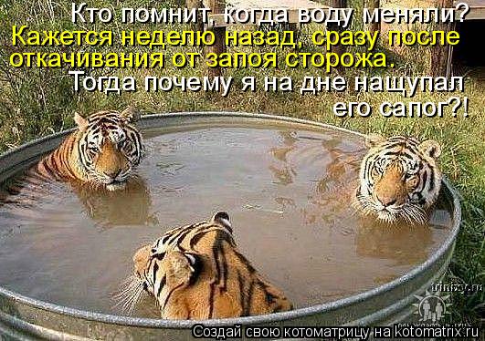 Кажется неделю назад, сразу после откачивания от запоя сторожа. Кто помнит, когда воду меняли? Тогда ... Котоматрица: Кажется неделю назад, сразу после откачивания от запоя сторожа. Кто помнит, когда воду меняли? Тогда почему я на дне нащупал его сапог?!