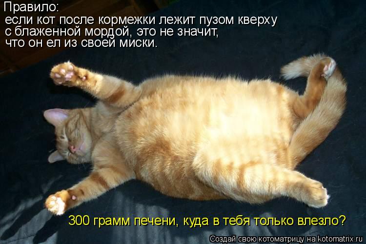 Котоматрица: Правило: если кот после кормежки лежит пузом кверху с блаженной мордой, это не значит, что он ел из своей миски.  300 грамм печени, куда в тебя т