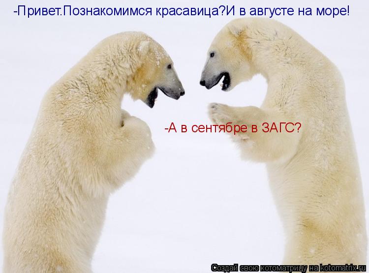 -Привет.Познакомимся красавица?И в августе на море! -А в сентябре в ЗАГС?... Котоматрица: -Привет.Познакомимся красавица?И в августе на море! -А в сентябре в ЗАГС?