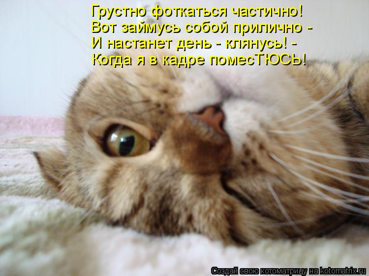 Грустно фоткаться частично! Вот займусь собой прилично - И настанет день - клянусь! - Когда я в кад... Котоматрица: Грустно фоткаться частично! Вот займусь собой прилично - И настанет день - клянусь! - Когда я в кадре помесТЮСЬ!