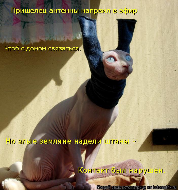 Котоматрица: Пришелец антенны напрвил в эфир Чтоб с домом связаться. Но злые земляне надели штаны - Контакт был нарушен.