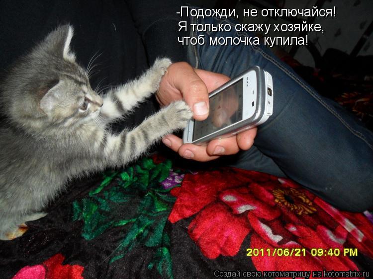 -Подожди, не отключайся! Я только скажу хозяйке, чтоб молочка купила!... Котоматрица: -Подожди, не отключайся! Я только скажу хозяйке, чтоб молочка купила!