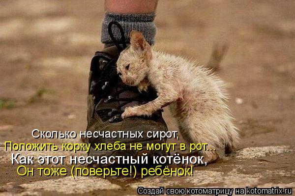 Сколько несчастных сирот, Положить корку хлеба не могут в рот... Как этот несчастный котёнок, Он тоже... Котоматрица: Сколько несчастных сирот, Положить корку хлеба не могут в рот... Как этот несчастный котёнок, Он тоже (поверьте!) ребёнок!