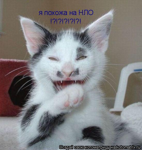я похожа на НЛО !?!?!?!?!?!... Котоматрица: я похожа на НЛО !?!?!?!?!?!
