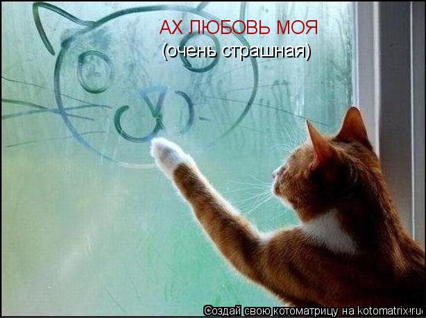 АХ ЛЮБОВЬ МОЯ (очень страшная)... Котоматрица: АХ ЛЮБОВЬ МОЯ (очень страшная)