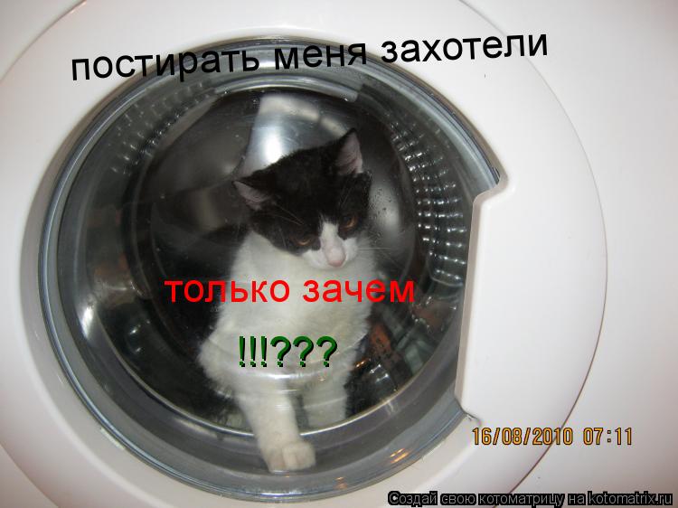 постирать меня захотели только зачем !!!???... Котоматрица: постирать меня захотели только зачем !!!???