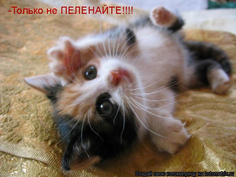 -Только не ПЕЛЕНАЙТЕ!!!!... Котоматрица: -Только не ПЕЛЕНАЙТЕ!!!!