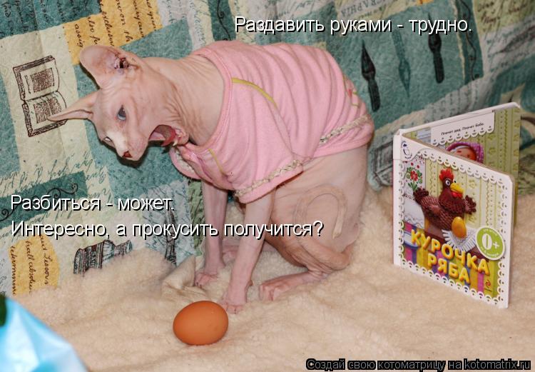 Разбиться - может. Раздавить руками - трудно. Интересно, а прокусить получится?... Котоматрица: Разбиться - может. Раздавить руками - трудно. Интересно, а прокусить получится?