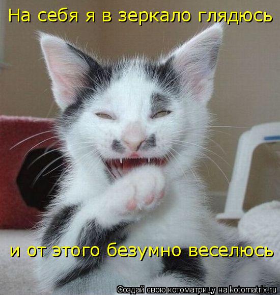 На себя я в зеркало глядюсь и от этого безумно веселюсь... Котоматрица: На себя я в зеркало глядюсь и от этого безумно веселюсь