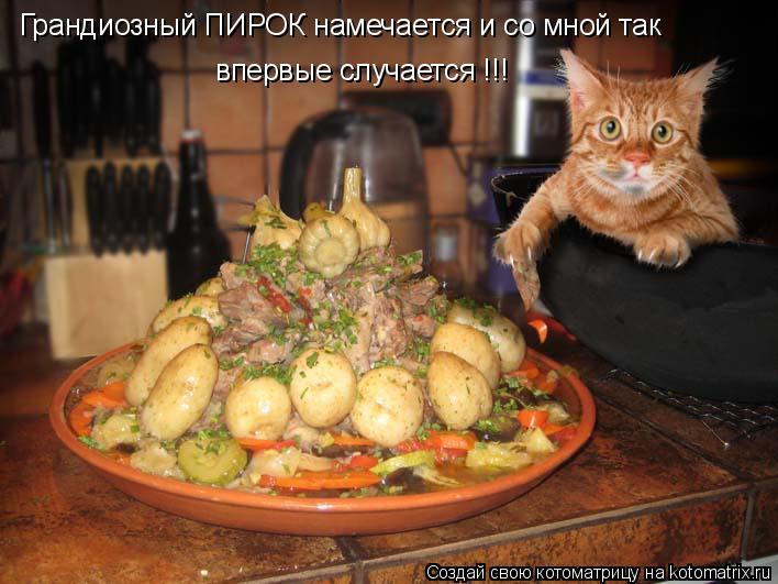 Грандиозный ПИРОК намечается и со мной так впервые случается !!!... Котоматрица: Грандиозный ПИРОК намечается и со мной так впервые случается !!!