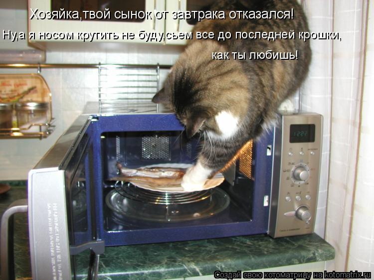 Хозяйка,твой сынок от завтрака отказался! Ну,а я носом крутить не буду,сьем все до последней крошки, ... Котоматрица: Хозяйка,твой сынок от завтрака отказался! Ну,а я носом крутить не буду,сьем все до последней крошки, как ты любишь!