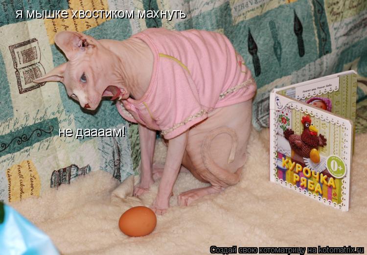 я мышке хвостиком махнуть не даааам!... Котоматрица: я мышке хвостиком махнуть не даааам!