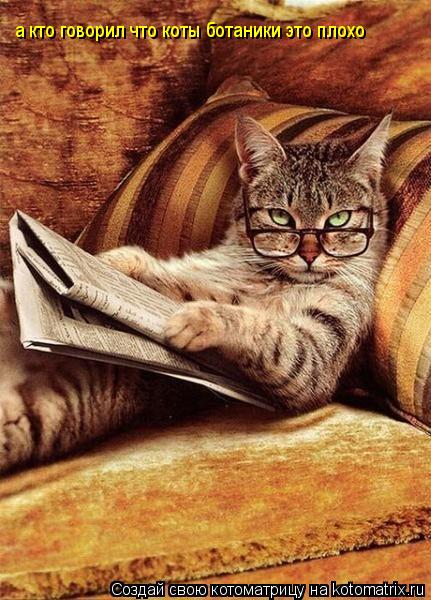 а кто говорил что коты ботаники это плохо... Котоматрица: а кто говорил что коты ботаники это плохо