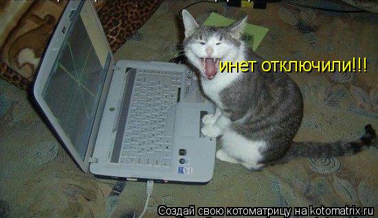 инет отключили!!!... Котоматрица: инет отключили!!!