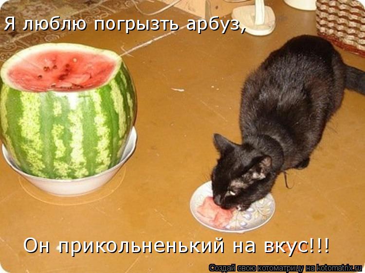 Котоматрица: Он прикольненький на вкус!!! Я люблю погрызть арбуз,
