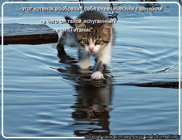 Котоматрица: -этот котенок вообразил себя океаническим лайнером! -а чего он такой испуганный? -а он "Титаник"