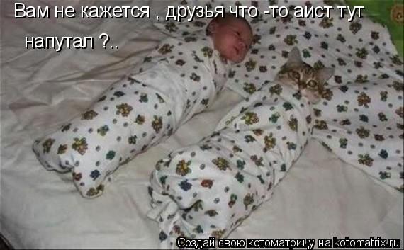 Котоматрица: Вам не кажется , друзья что -то аист тут напутал ?..