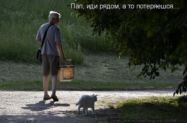 Котоматрица: Пап, иди рядом, а то потеряешся....