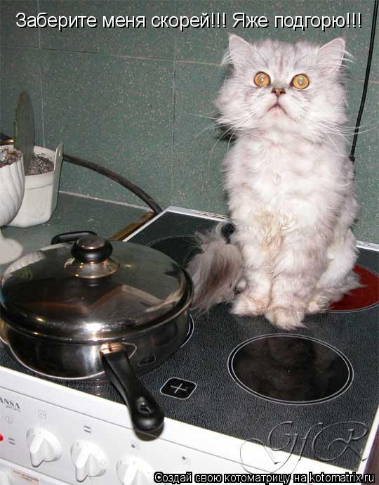 Забирите меня!!! Заберите меня скорей!!! Яже подгорю!!!... Котоматрица: Забирите меня!!! Заберите меня скорей!!! Яже подгорю!!!