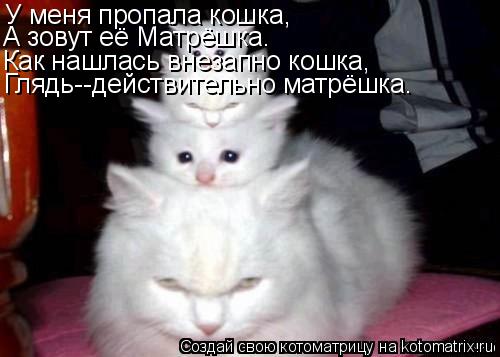 У меня пропала кошка, А зовут её Матрёшка. Как нашлась внезапно кошка, Глядь--действительно матрёшка.... Котоматрица: У меня пропала кошка, А зовут её Матрёшка. Как нашлась внезапно кошка, Глядь--действительно матрёшка.