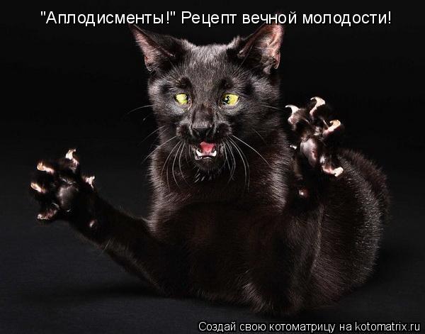 "Аплодисменты!" Рецепт вечной молодости!... Котоматрица: "Аплодисменты!" Рецепт вечной молодости!