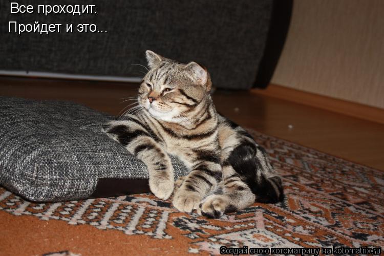 Все проходит. Пройдет и это...... Котоматрица: Все проходит. Пройдет и это...
