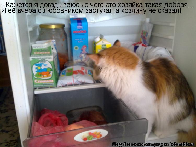 --Кажется,я догадываюсь,с чего это хозяйка такая добрая... Я её вчера с любовником застукал,а хозяину... Котоматрица: --Кажется,я догадываюсь,с чего это хозяйка такая добрая... Я её вчера с любовником застукал,а хозяину не сказал!