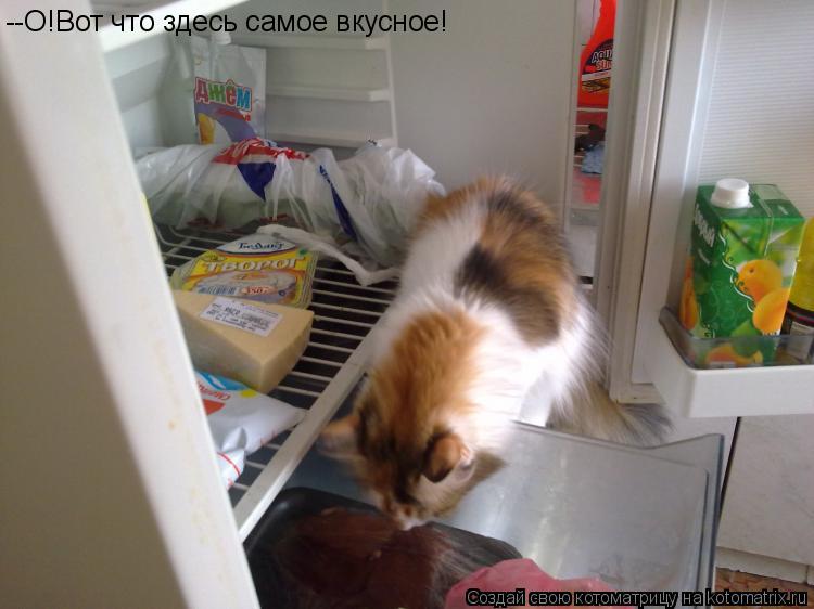 --О!Вот что здесь самое вкусное!... Котоматрица: --О!Вот что здесь самое вкусное!