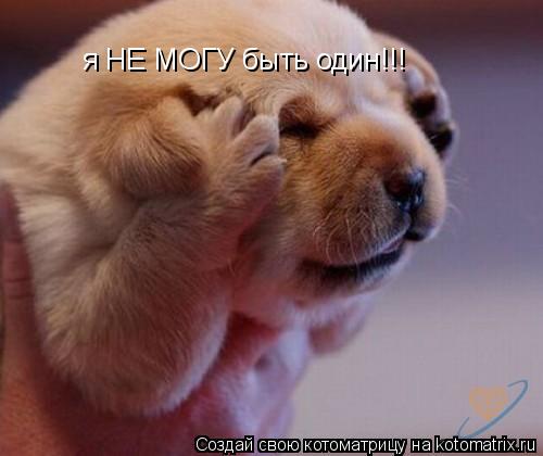 я НЕ МОГУ быть один!!!... Котоматрица: я НЕ МОГУ быть один!!!