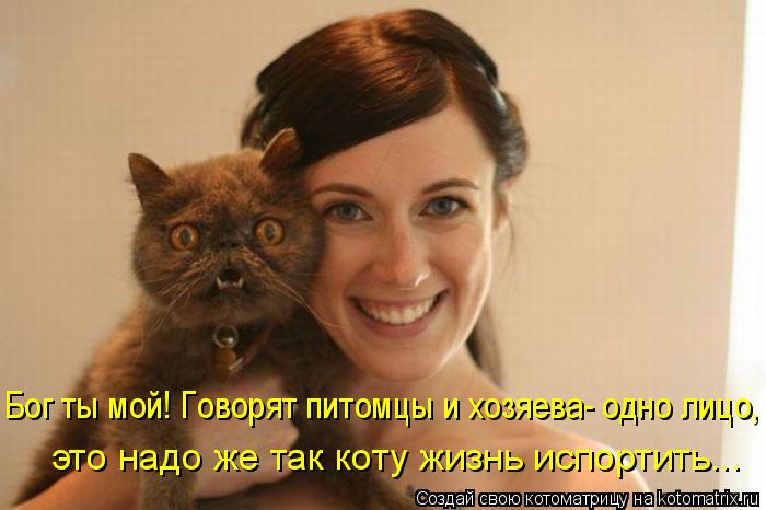 Бог ты мой! Говорят питомцы и хозяева- одно лицо, это надо же так коту жизнь испортить...... Котоматрица: Бог ты мой! Говорят питомцы и хозяева- одно лицо, это надо же так коту жизнь испортить...