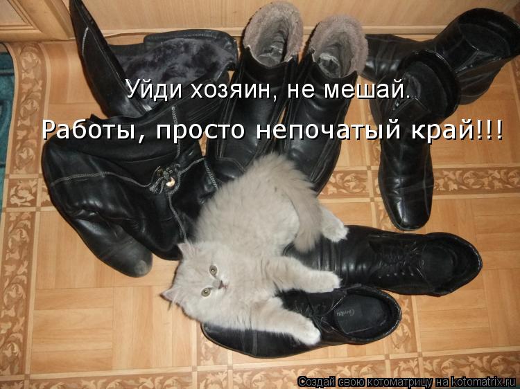 Котоматрица: Уйди хозяин, не мешай.  Работы, просто непочатый край!!!